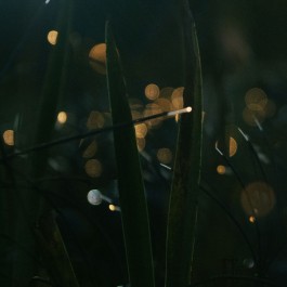 arquitetura e lumonitécnica OMstudio Lighting Iluminação de arquitetura