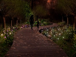 Iluminação paisagismo OMstudio Lighting Iluminação de arquitetura