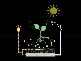 Lighting design OMstudio Lighting Iluminação de arquitetura