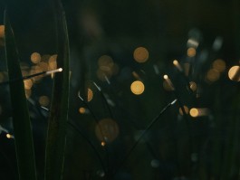 arquitetura e lumonitécnica OMstudio Lighting Iluminação de arquitetura