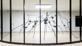 A escrita nas luzes e nos reflexos OMstudio Lighting Iluminação de arquitetura